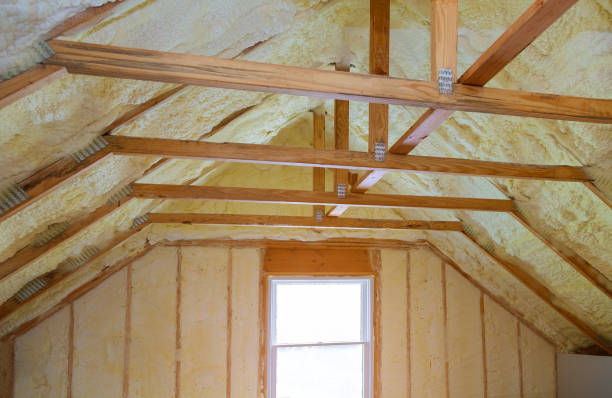 Best Commercial Insulation in Ackerman, MS