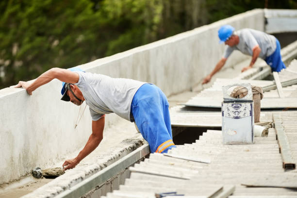 Best Insulation Installation Services in Ackerman, MS