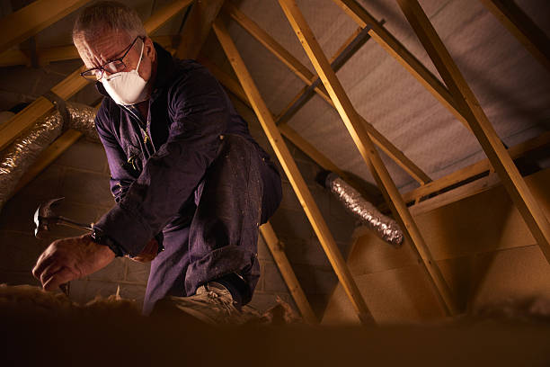 Best Residential Insulation in Ackerman, MS
